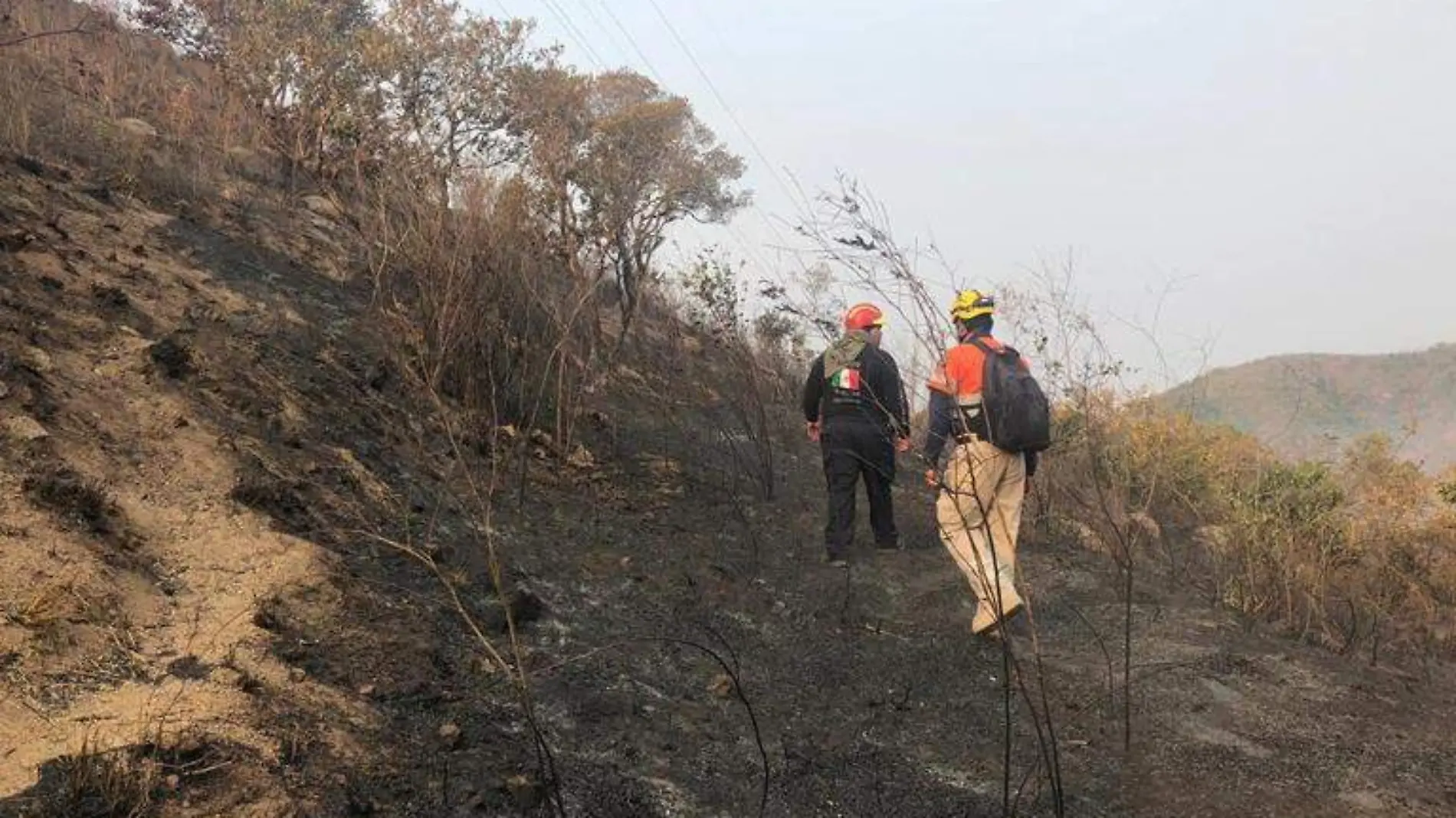 ACapulco incendio forestal parque el veladero